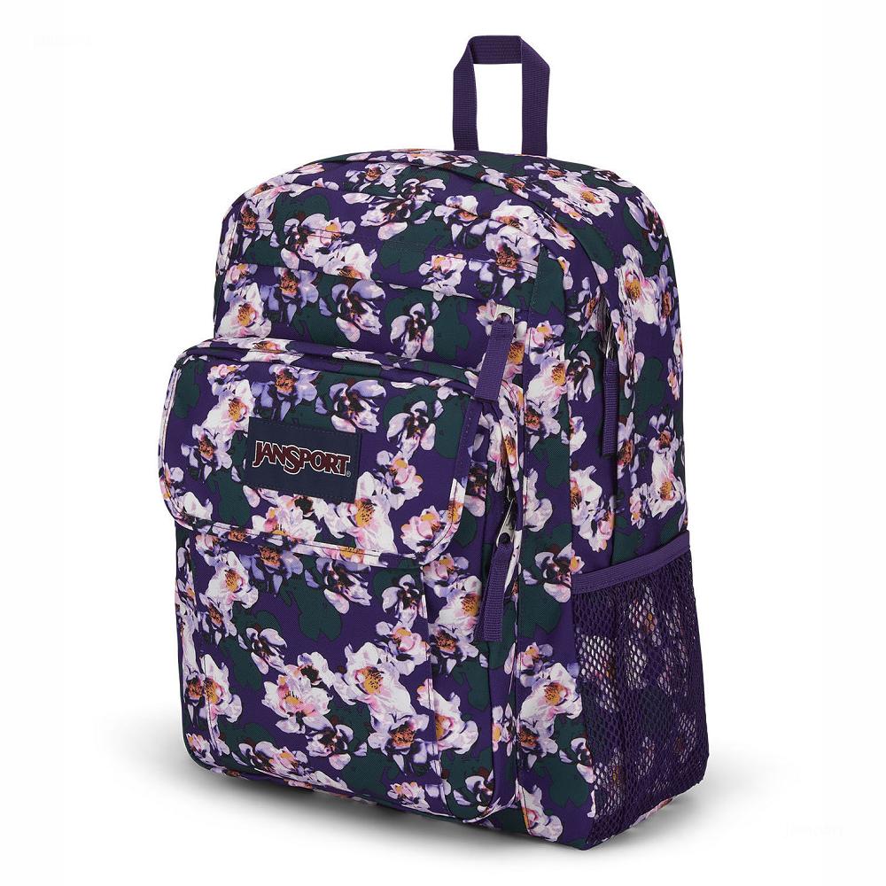 Sac à Dos Ordinateur JanSport UNION PACK Violette | WBL-93711274